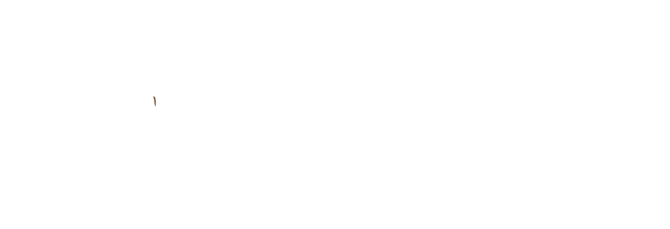 logo hôtel Savel de Ruoms