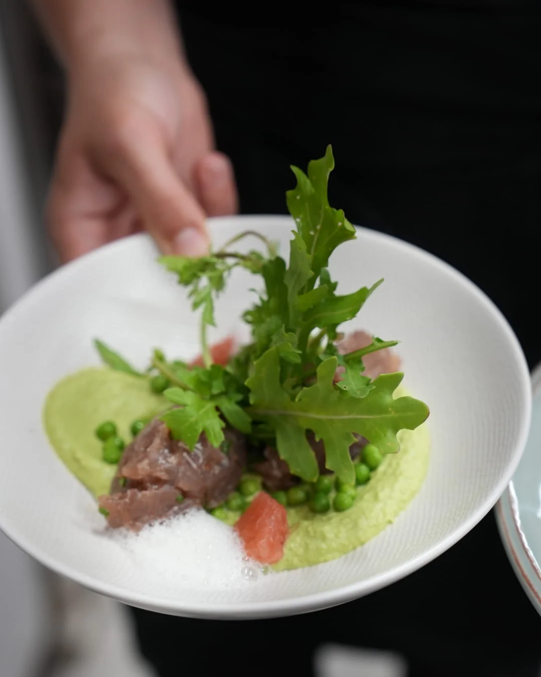 Céviche de thon rouge, petits pois et pamplemousse au restaurant à Ruoms de l'Hôtel Savel