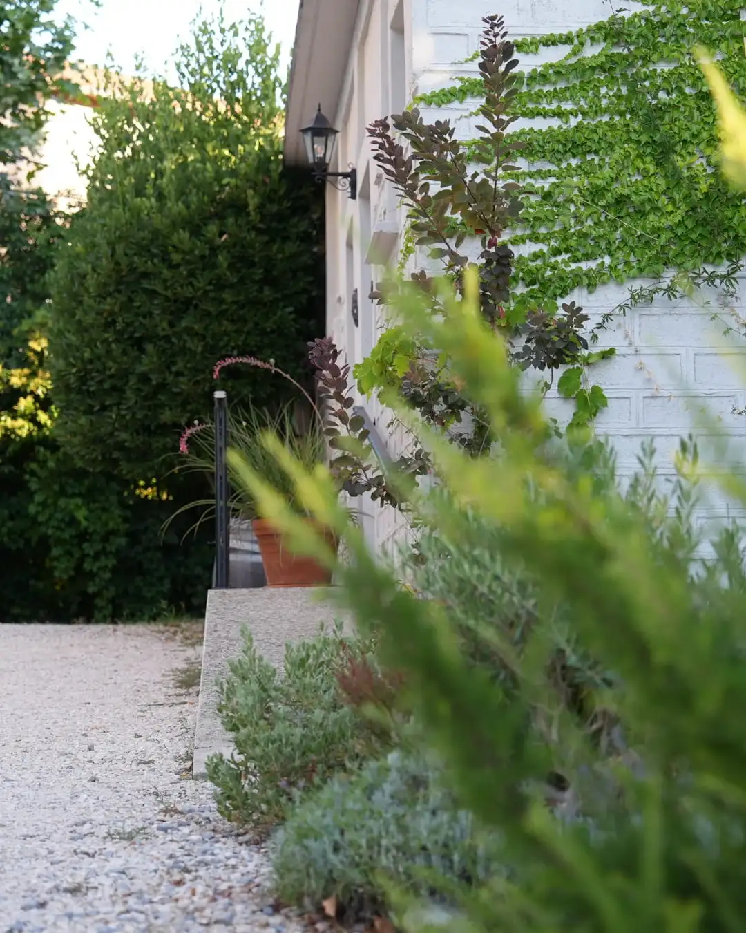 Accès privé et calme de la chambre indépendante de plain-pied à l'Hôtel Savel à Ruoms en Ardèche
