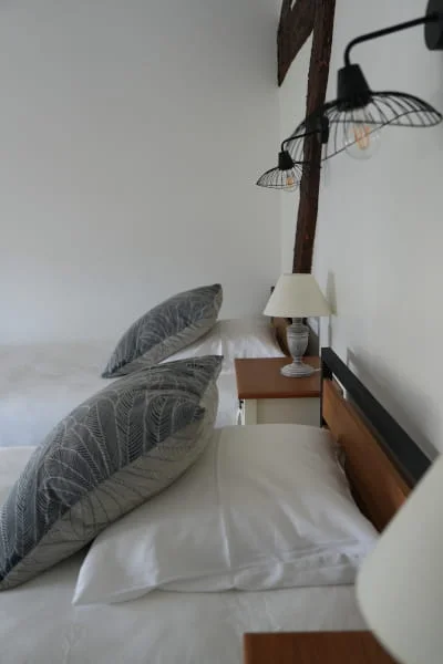 Lits confortables et environnement reposant de la chambre Confort lits jumeaux climatisée à l'Hôtel Savel à Ruoms
