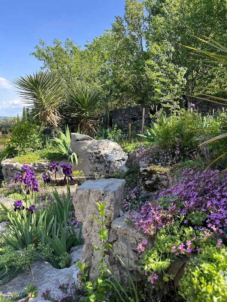 Jardin fleuri en rocaille avec iris de la maison de vacances Labeaume