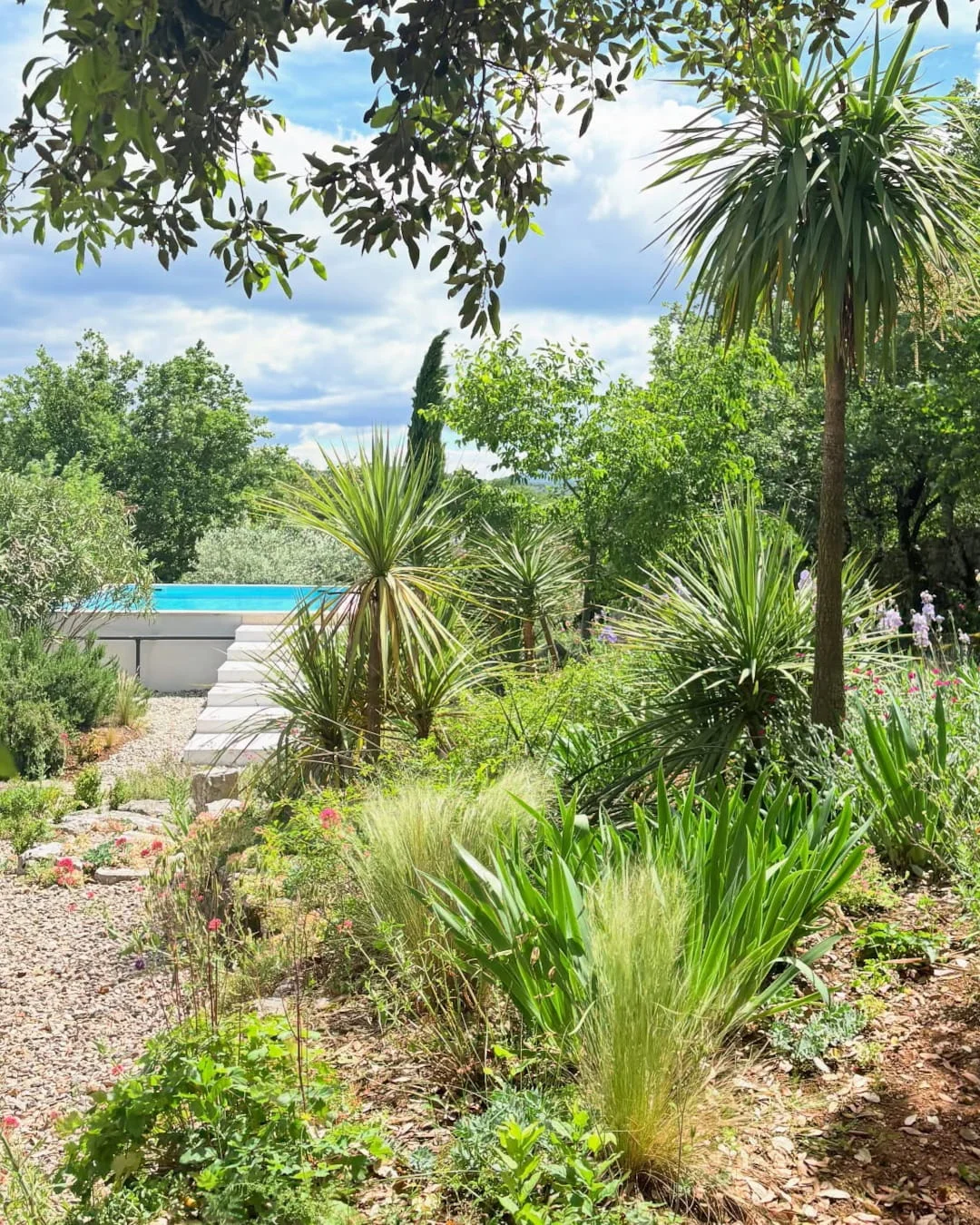 Piscine privée et jardin méditerranéen de la maison de vacances Labeaume
